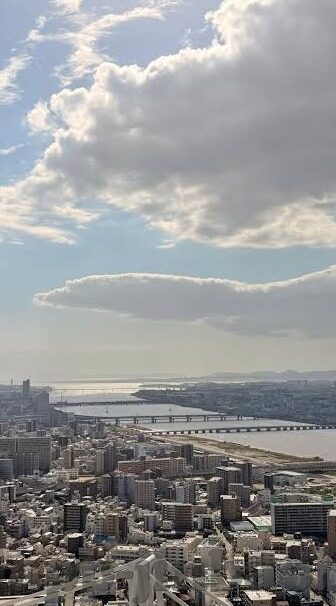伊布 比利时 世界杯-伊布与比利时，世界杯舞台上的璀璨星光